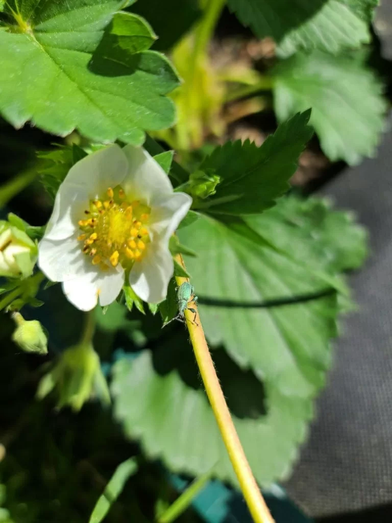 photo_2021-05-28_23-09-31.jpg photo_2021-05-28_23-09-31.jpg